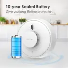 H01 R8 Interlinked Heat Alarm 02